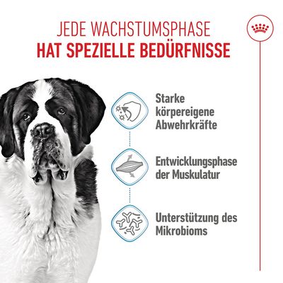 Royal Canin Giant Junior