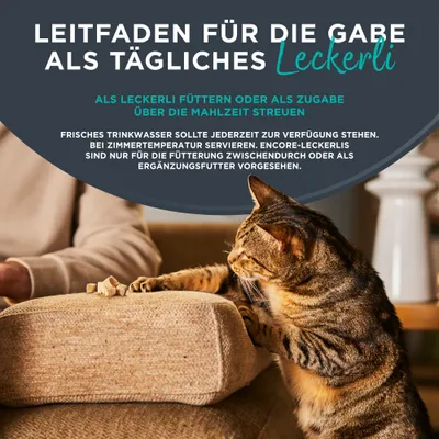 Leitfaden für die Gabe als tägliches Leckerli: Als Leckerli füttern oder als Zugabe über die Mahlzeit streuen. Frisches Trinkwasser bereitstellen, nur als Ergänzungsfutter verwenden. Leitfaden für die Gabe als tägliches Leckerli: Als Leckerli füttern oder als Zugabe über die Mahlzeit streuen. Frisches Trinkwasser bereitstellen, nur als Ergänzungsfutter verwenden.