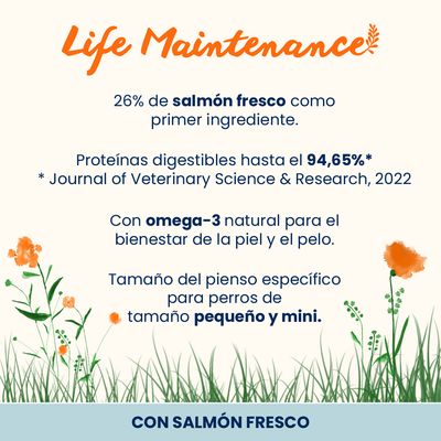 Almo Nature Life Maintenance Adult Small con salmón y arroz