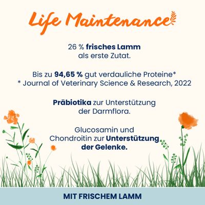 Almo Nature Holistic Maintenance mit frischem Lamm, Trockenfutter für erwachsene Hunde, Grösse Large, 12kg Packung.