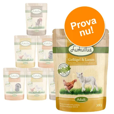 Flera påsar Lukullus våtfoder för hund, synliga sorter: Geflügel & Lamm, Kaninchen & Wild, Putenherzen & Gans. Stor orange cirkel med texten 'Prova nu!'.