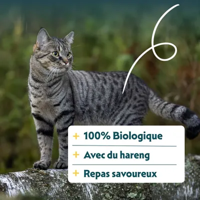 100 % biologique, avec du hareng, repas savoureux. Texte sur l'image du produit.