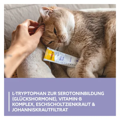 GimCat Relax Paste mit L-Tryptophan zur Serotoninbildung, Vitamin-B-Komplex, Eschscholtzienkraut und Johanniskrautfiltrat. Katze liegt entspannt neben der Paste.