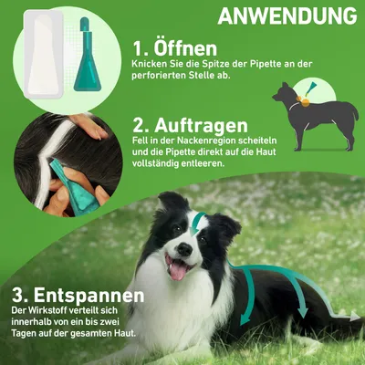 Anwendungshinweise: 1. Öffnen - Spitze der Pipette an perforierter Stelle abknicken. 2. Auftragen - Fell im Nacken scheiteln, Pipette entleeren. 3. Entspannen - Wirkstoff verteilt sich in 1-2 Tagen.