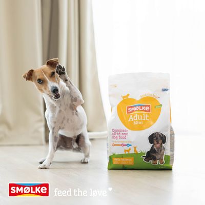 Hond naast Smølke Adult Mini droogvoer. Verpakking toont: Complete all-in-one hondenvoeding, Daily balans, uniek eiwitprofiel. Smølke voedt de liefde.