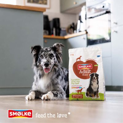 SMØLKE Adult Maxi Hundefutter, Complete all-in-one dog food, daily balance, feed the love. Verpackung neben Hund abgebildet.
