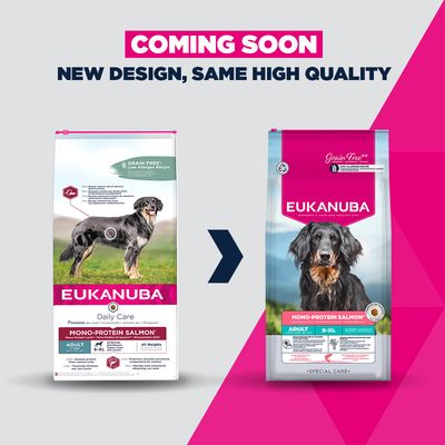Eukanuba Daily Care torrfoder för hundar, monoprotein lax, spannmålsfritt, recept minskar risken för foderintolerans, passar alla raser och vikter, 12 kg förpackning.