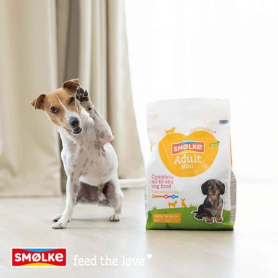 Hund neben Smølke Adult Mini Hundefutter. Verpackung zeigt: Complete all-in-one dog food, daily balance, feed the love.