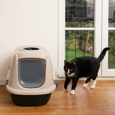 Toilette chiusa per gatti con sportello, beige e nera, accanto a un gatto bianco e nero in una stanza con pavimento in legno e porta in vetro.