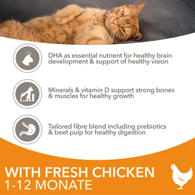 Text på engelska: DHA för hjärnans utveckling och syn, mineraler och vitamin D för ben och muskler, fiberblandning med prebiotika. With fresh chicken 1–12 Monate.