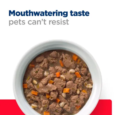 Mouthwatering taste pets can’t resist. Bowl of wet pet food with visible chunks of meat, carrots and grains.