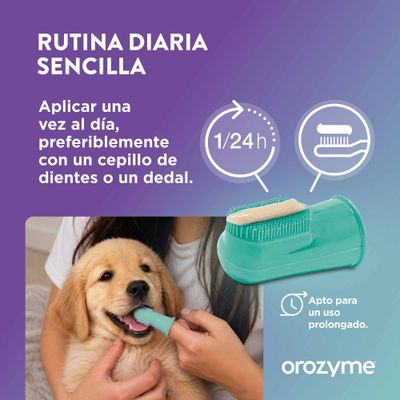 Instrucciones de uso: Aplicar una vez al día con un cepillo de dientes o dedal dental. Adecuado para un uso prolongado. Marca: orozzyme.