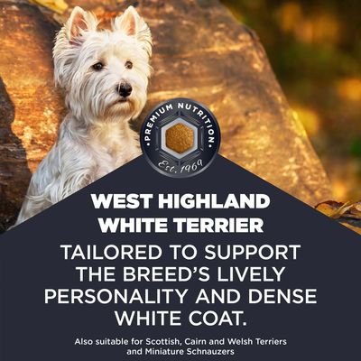 West Highland White Terrier. Špeciálne prispôsobené živej povahe a hustej bielej srsti tohto plemena. Vhodné aj pre škótskeho, cairnského, waleského teriéra a miniatúrneho bradáča.