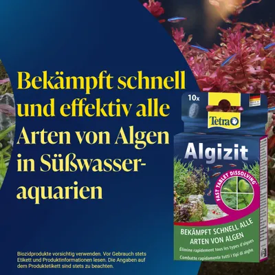 Tetra Algizit - Sparpaket: 2 x 10 Tabletten