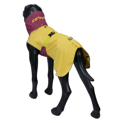 Hundemantel in Gelb und Bordeaux mit Aufschrift ICEPAW, präsentiert auf schwarzer Hundemodellfigur. Sichtbare Schnalle und Befestigungsring.