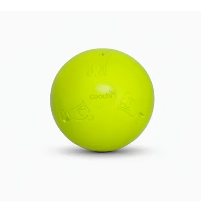 Coachi Boomi Ball - Ø 25 cm