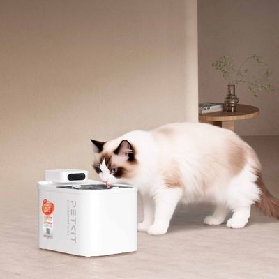Katze trinkt aus einem weißen PETKIT Eversweet MAX Trinkbrunnen mit sichtbarem Wasserbehälter und Aufkleber auf der Vorderseite.