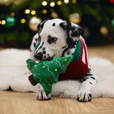 Dog with a green fabric toy in the shape of a Christmas tree, lying on a white carpet. The toy features colourful dots and zigzag lines.