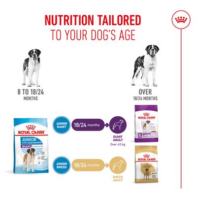 Fodringsanbefaling: Royal Canin Junior Giant til 8 til 18/24 måneder, fra 18/24 måneder Giant Adult over 45 kg eller Breed Adult. Alderstilpasset ernæring til hunde.