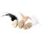 Lot de 3 souris en varech naturel Karlie pour chat 3 souris