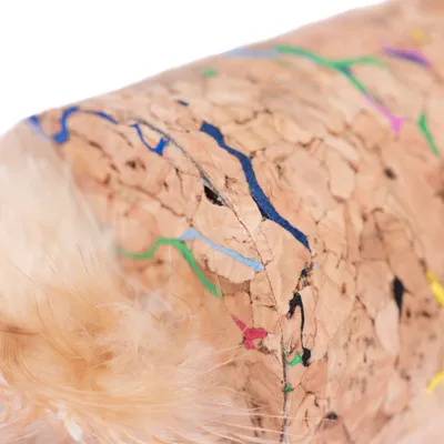 Jouet cylindrique en liège avec des lignes colorées et plumes beiges visibles à une extrémité. Aucun texte ou marque apparente.