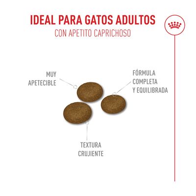 Royal Canin Fussy Exigent - 10 + 2 kg ¡gratis!