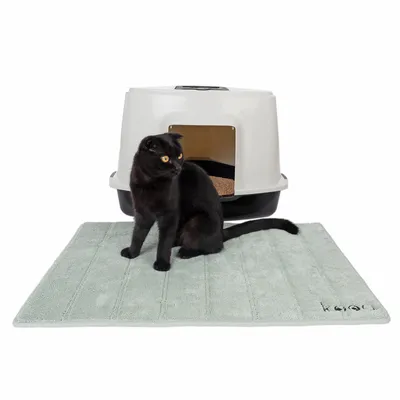 Gato negro sentado sobre una alfombrilla verde claro frente a un arenero cerrado. Alfombrilla con el logo 'kooa' visible.