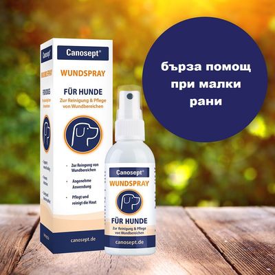 Canosept Wundspray за кучета, спрей и опаковка с текст: Zur Reinigung & Pflege von Wundbereichen. Кръг с надпис: бърза помощ при малки рани.