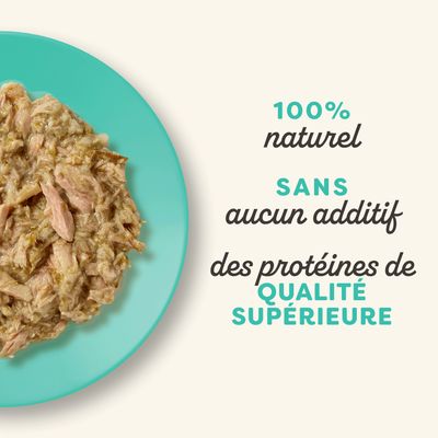 Applaws Cat Natural en bouillon 12 x 70 g - filet de thon, anchois