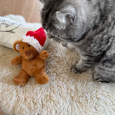 Aumüller jouet Nounours avec bonnet de Père Noël