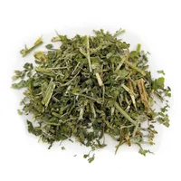 Menthe à chat fraîche Aumüller - 10 g