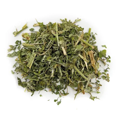 Menthe à chat fraîche Aumüller - 10 g