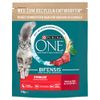Purina ONE Sterilcat met Rund 750 g