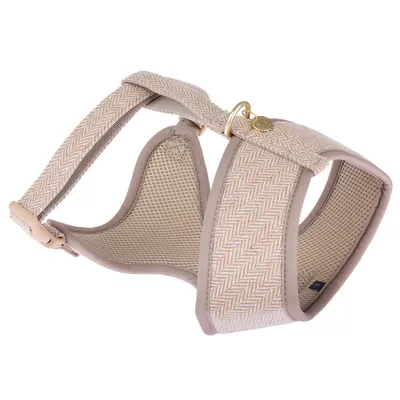 Harnais Nomad Tales Calma, sable pour chien - taille  L : tour de poitrail 48 - 72 cm
