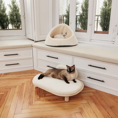 Pat din lemn cu pernă albă, moale și spătar. Potrivit pentru animale de companie.