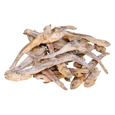 Torkade små fiskar som snacks eller kompletteringsfoder, synliga i naturlig form och färg.