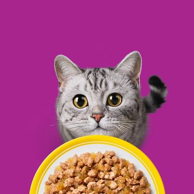 Whiskas Senior portionsposer 12 x 85 g