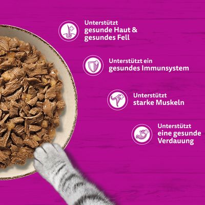 Multipack Whiskas Pure Delight Portionsbeutel 48 x 85 g - Gemischtes Ragout in Gelee