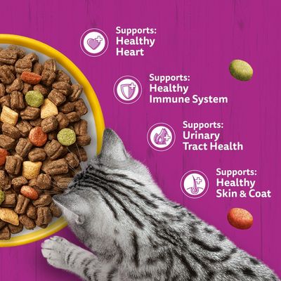 Text in image: Supports: Healthy Heart, Healthy Immune System, Urinary Tract Health, Healthy Skin & Coat. Feeding bowl with dry food and visible cat.
