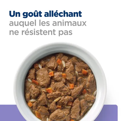 Texte en haut : « Un goût alléchant auquel les animaux ne résistent pas ». Bol blanc avec morceaux de nourriture humide, visibles carottes et sauce.