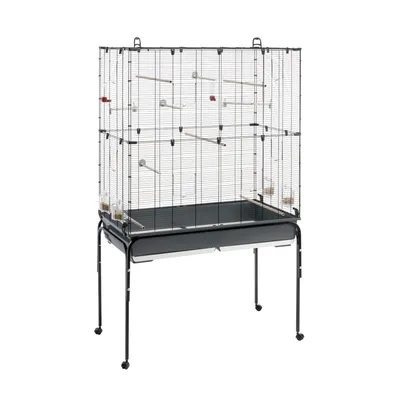 Grande cage à oiseaux en métal noir sur roulettes, plusieurs perchoirs en bois, mangeoires et abreuvoirs visibles, bac de fond amovible pour le nettoyage.