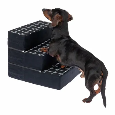 Zwarte trap met ruitpatroon, geschikt voor huisdieren. Teckel toont gebruik van de trap door erop te klimmen.