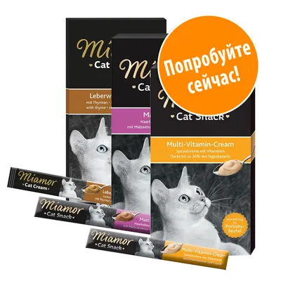 Miamor Cat Snack: Leberwurst mit Thymian, Malt-Cream mit Malzэкстрактом, Multi-Vitamin-Cream. Оранжевый круг с текстом: Попробуйте сейчас!