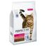 Perfect Fit Active 1+ Ricco di Manzo Crocchette per gatto 7 kg