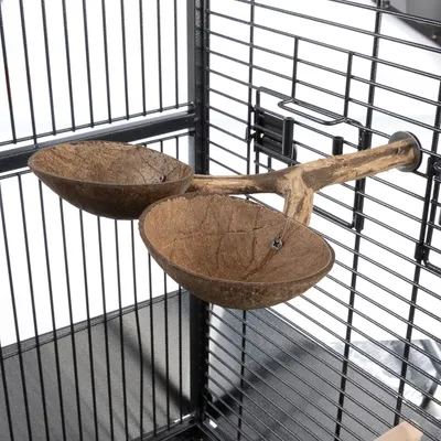 Deux coupelles en coque de noix fixées sur une branche en bois, montées à l'intérieur d'une cage métallique pour animaux.