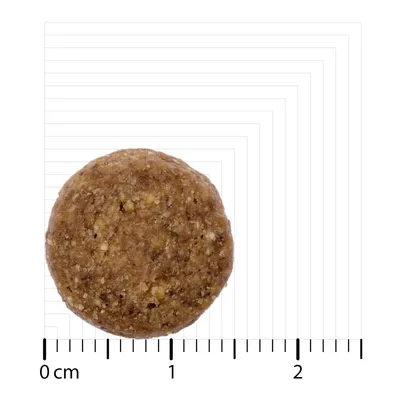 Crocchetta rotonda e marrone con scala graduata visibile. Diametro circa 1,5 cm.