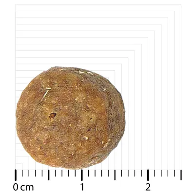 Rundt brunt snack med synlig storleksangivelse: diameter ca 2 cm, visad på en mätskala.