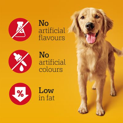 Testo in inglese: No artificial flavours, No artificial colours, Low in fat. Simboli di laboratorio, contagocce e percentuale su sfondo rosso accanto a cane.