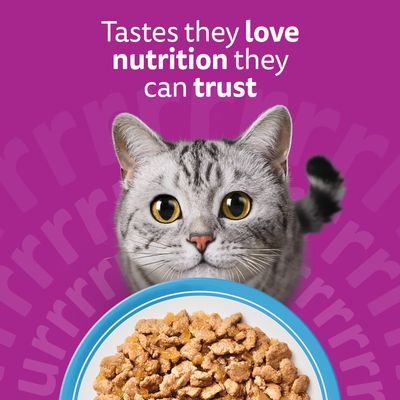 Whiskas 1+ Fish Favourites in Jelly - 40 x 85g