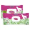 Salviette Inodorina alla Clorexidina Set %: 6 x 40 pz